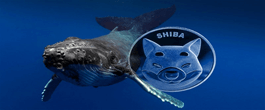 نهنگ,شیبا اینو,اتریوم,میم کوین