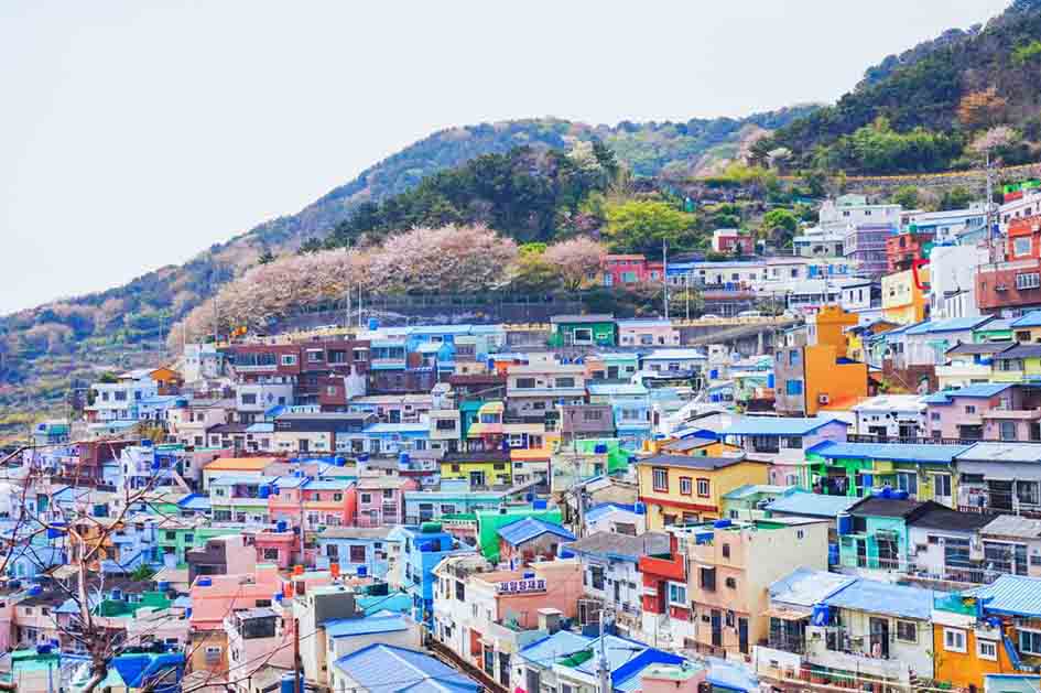 کره‌جنوبی,سرمایه‌گذاری,بلاک‌چین,اتریوم,کاسموس